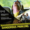  Dangerous Parking
